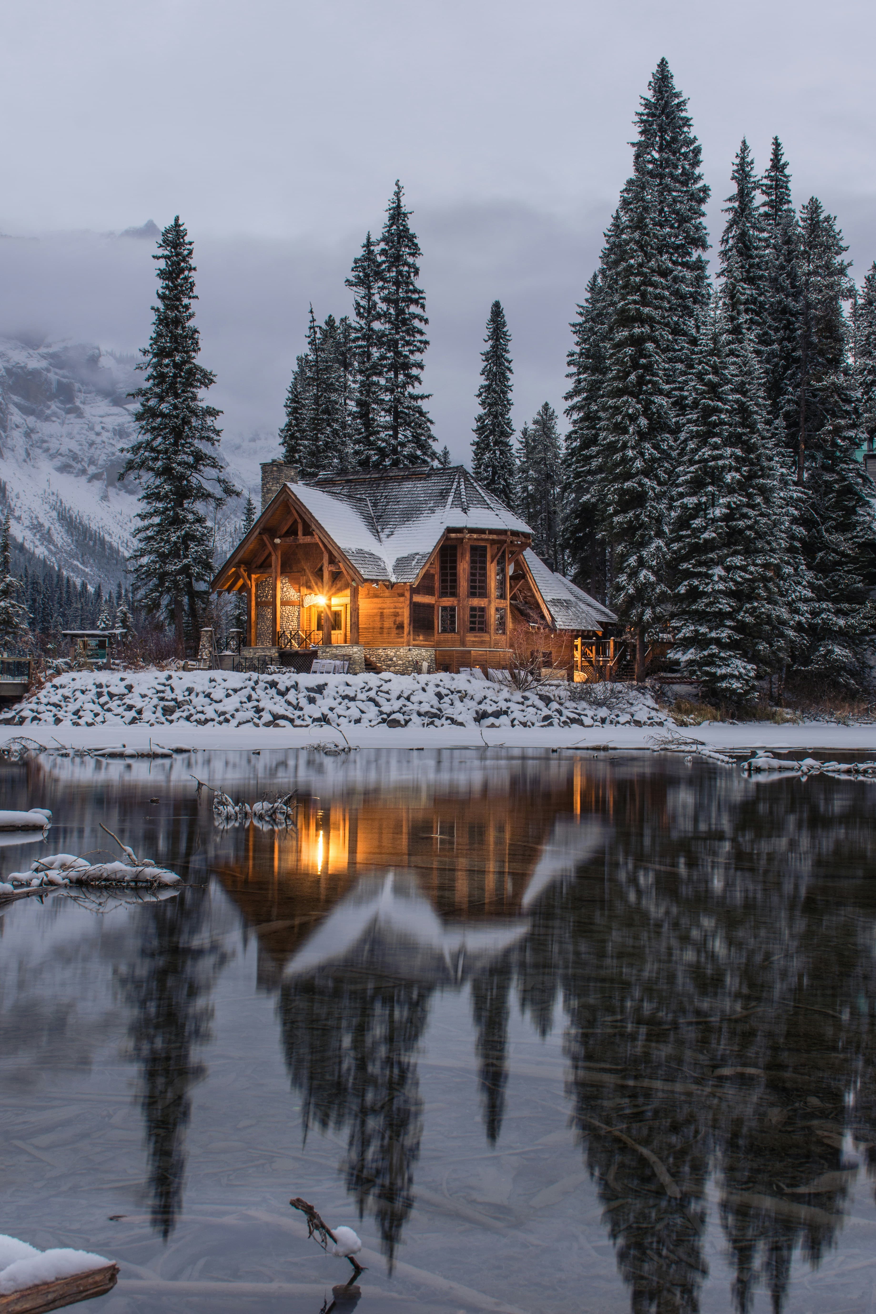 Cabaña en medio del bosque con río cercano